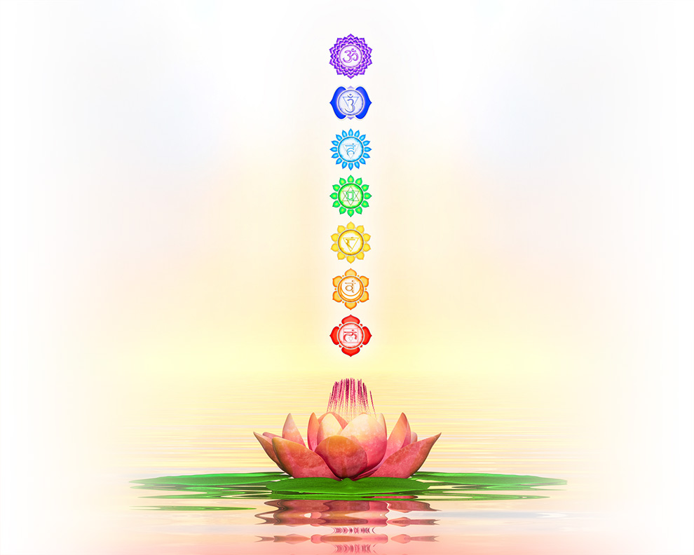 Die 7 Chakrasymbole über einer Lotusblume