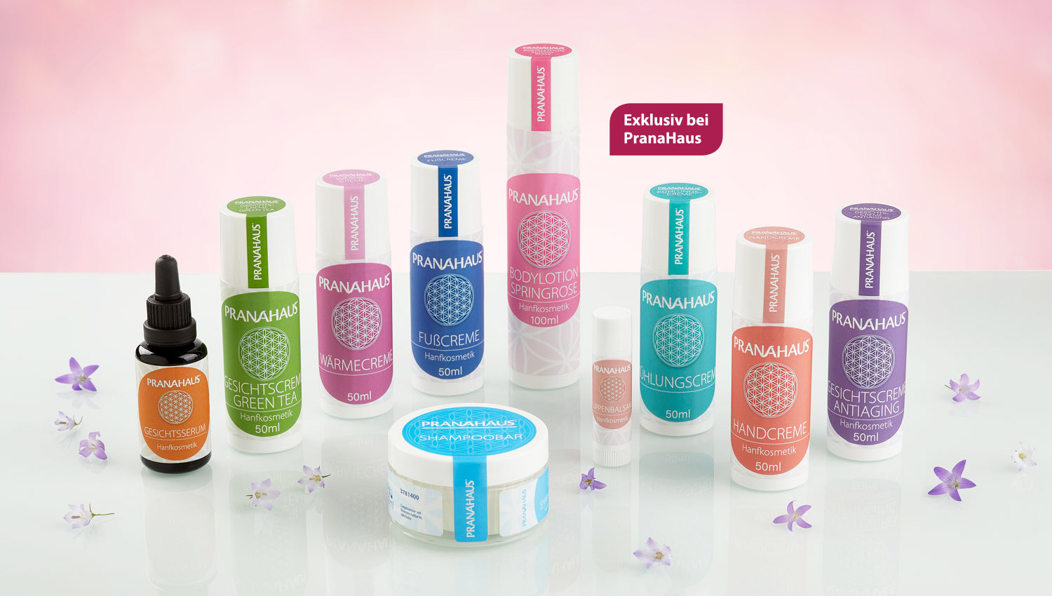 Die Hanfkosmetik-Serie von PranaHaus