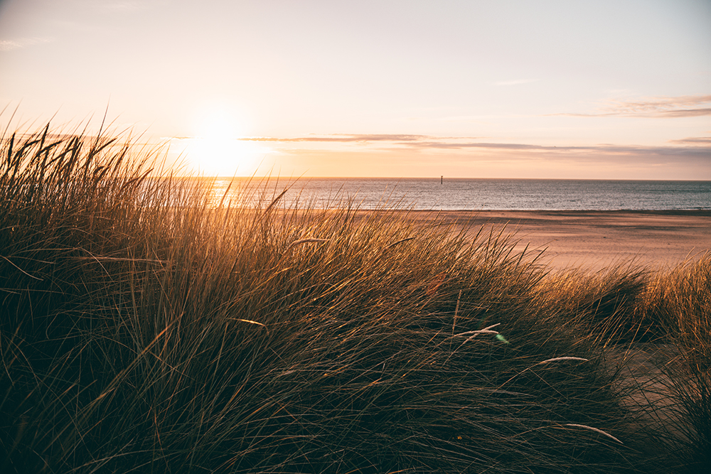 Im warmen Licht der tiefstehenden Sonne liegt eine ruhige Strandlandschaft mit sanften Dünen und hohem Gras vor einem weiten, friedlichen Meer.