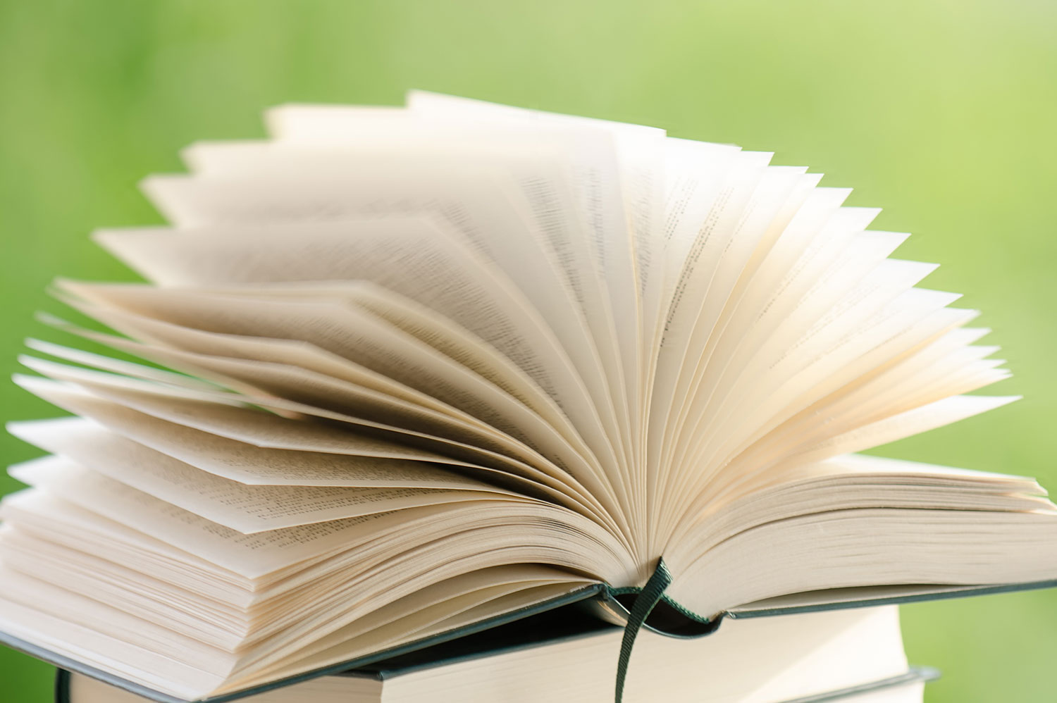 Ein aufgeschlagenes Buch vor grünem Hintergrund