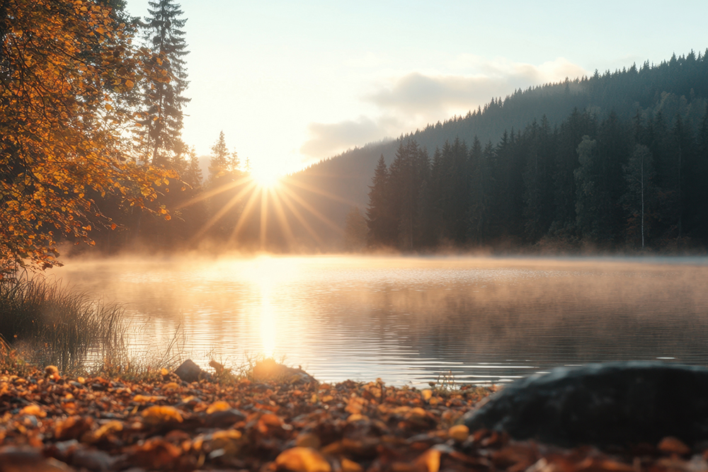 Die aufgehende Sonne strahlt über einen stillen, nebelverhangenen See im Herbstwald, während goldenes Licht das Laub am Ufer und die Silhouetten der Tannen erleuchtet.