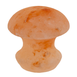 Salzkristall Massagestein Pilz