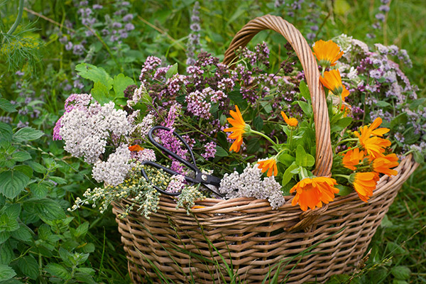 Geflochtener Korb mit frisch gesammelten Heilkräutern und Blüten wie Ringelblume, Schafgarbe und Oregano, dazu eine Gartenschere – auf einer Wiese platziert.